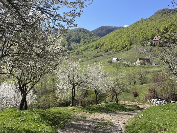 Maja e Vajushes Summit Hike (via Lëpushë) - Thumbnail 2